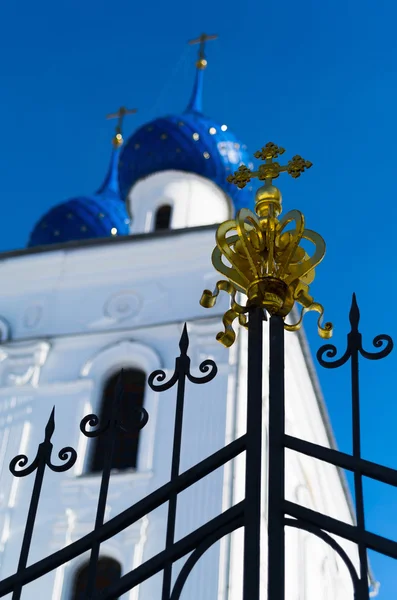 Verticale ortodosso chiesa cancello elemento di design sfondo — Foto Stock