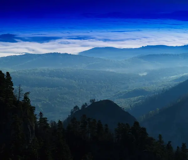 Horizontal vivo montanha floresta paisagem fundo pano de fundo — Fotografia de Stock