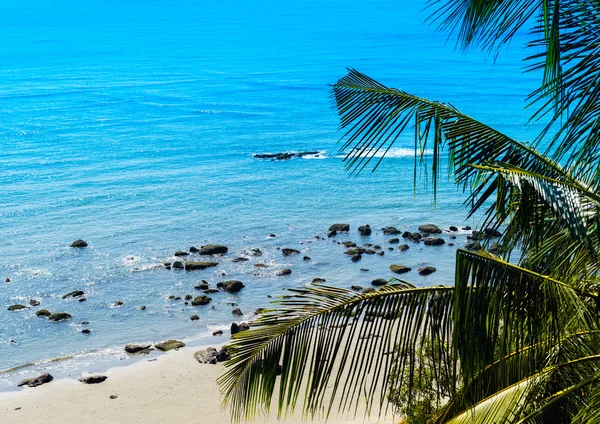 Horizontal lebhaft Sand Felsen Strand Meer Palmen Zusammensetzung Backgrou — Stockfoto