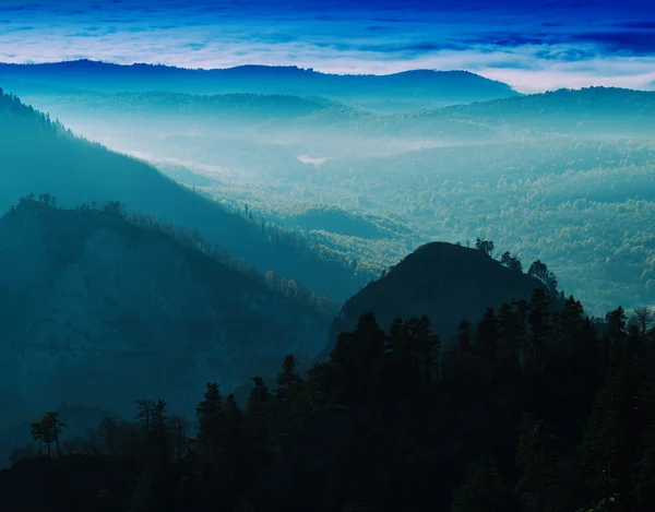 Horizontal vivo montanha floresta paisagem fundo pano de fundo — Fotografia de Stock