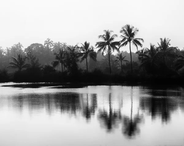 Горизонтальный чёрно-белый индийский пейзаж bokeh vignette backg — стоковое фото