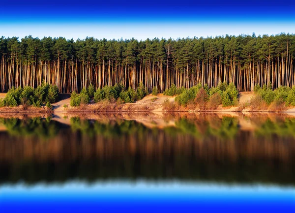 Horizontální živé řeky lesní odrazy krajinné pozadí b — Stock fotografie