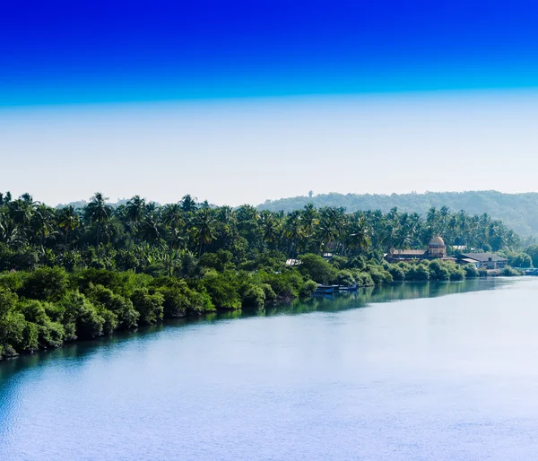 Horizontal india selva playa paisaje telón de fondo — Foto de Stock