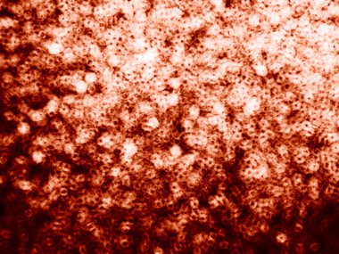 Yatay canlı bakır bokeh resimde arka plan