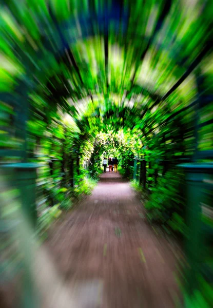 Green corridor motion zoom abstraction — Stock Photo, Image