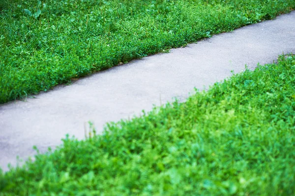 Diagonal park bana med grönt gräs bakgrund — Stockfoto