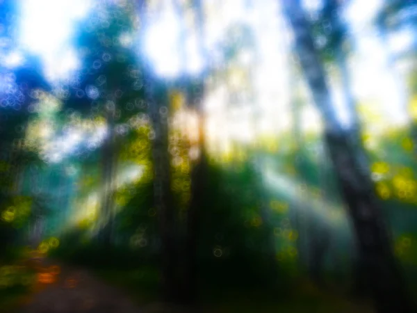 Rayons de soleil horizontaux dramatiques dans le fond bokeh de la forêt — Photo