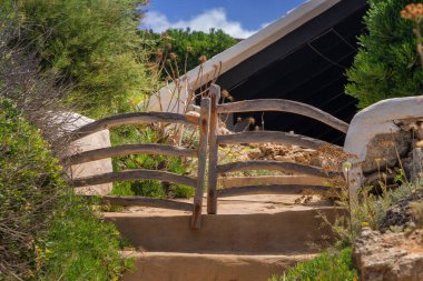 Zeytin ağacının klasik minorcan kapısı