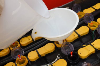Fabrikada elektrikli forklift pili