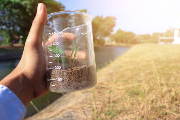 Grow plants in a chemical glass