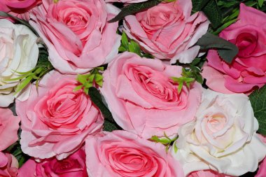 Birçok renkli gül çiçek açıyor.