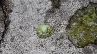 Çimento zeminine aşındırıcı kimyasallar düşer.