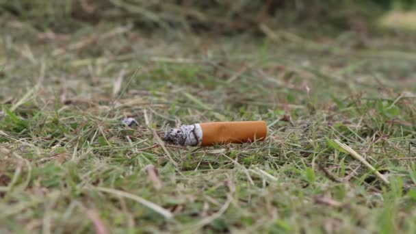 Cigaretter Torrt Gräs Farligt Möjligt Brand — Stockvideo