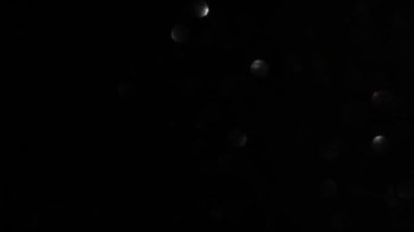 Siyah ve beyaz Bokeh ilerliyor