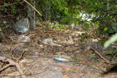 Çöpler ormana atılmış ve doğayı yok etmiş.