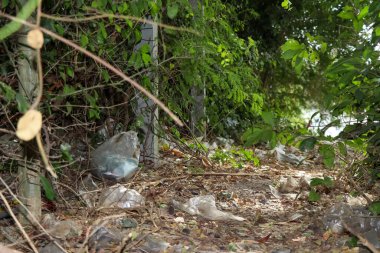 Çöpler ormana atılmış ve doğayı yok etmiş.