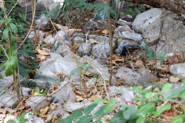 Çöpler ormana atılmış ve doğayı yok etmiş.