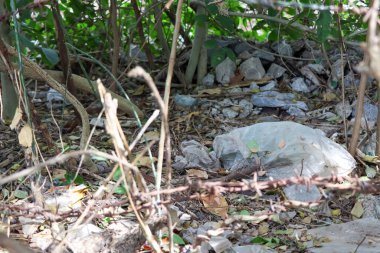 Çöpler ormana atılmış ve doğayı yok etmiş.
