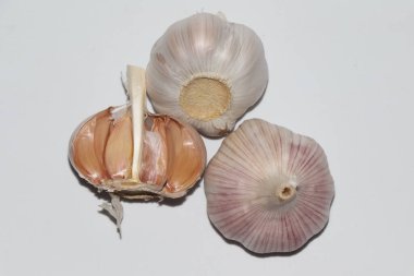 Beyaz arkaplanda Allium sativum