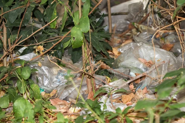 Çöpler ormana atılmış ve doğayı yok etmiş.