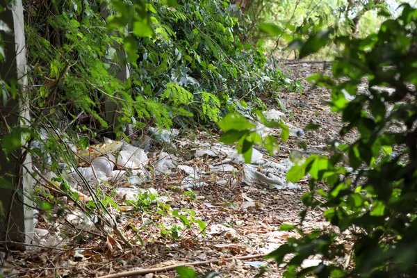 Poubelles Jetées Dans Forêt Destruction Nature — Photo