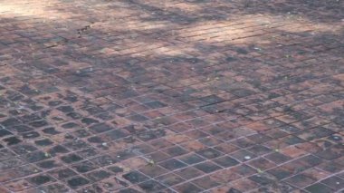 Beton yol yüzeyi deseni