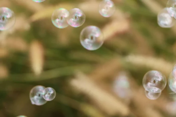 Blasen Und Natürlicher Hintergrund Tag — Stockfoto