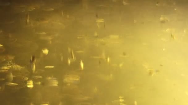 Goldenes Bokeh Dreht Sich Und Fällt Auf Gelbem Hintergrund — Stockvideo