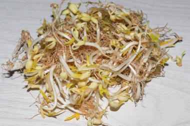 Uzun süre kök filizi depolandı ve tek başına organik olarak yetiştirildi.