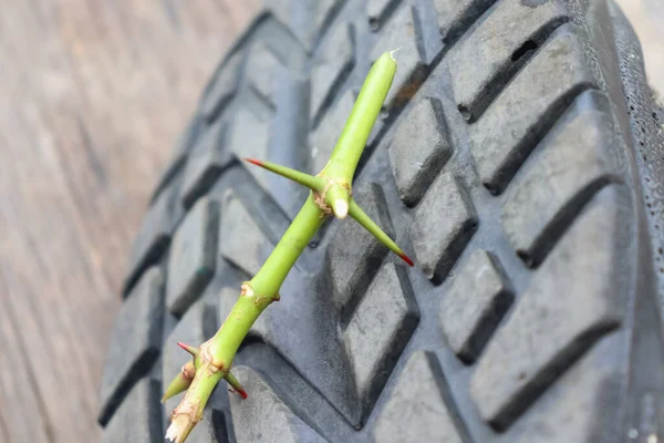 Ein Dorn Und Scharf Unter Dem Schwarzen Schuh — Stockfoto