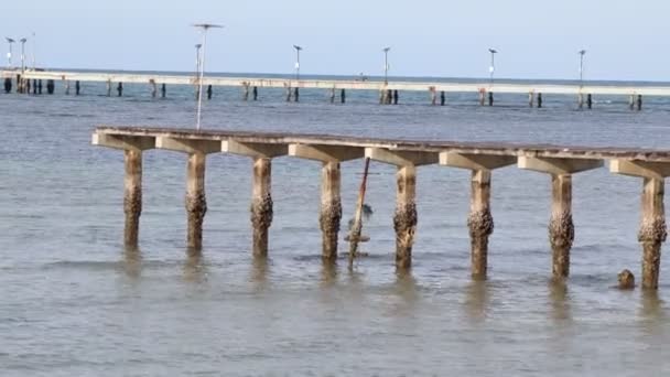 Drewniany Most Nad Morzem Rano — Wideo stockowe