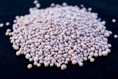 Bitkinin güçlü büyümesini sağlayan gübre.