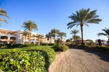 tropik avuç Beach resort 