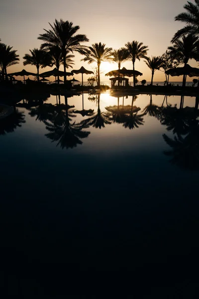 Prachtige zonsondergang in een beach resort in de tropen met palmen en wat — Stockfoto