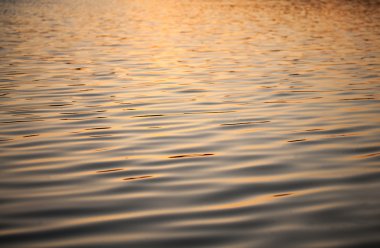 su alacakaranlıkta yüzey kolu