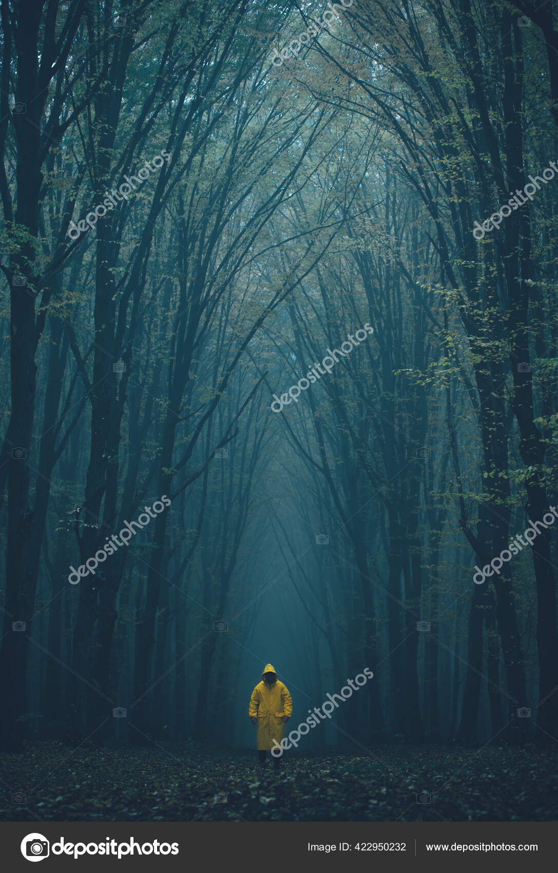 Lost in the cold dark forest