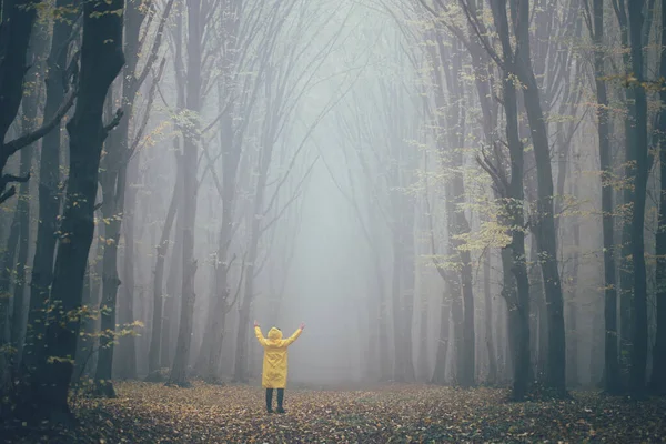 在恐怖的森林里迷了路雾气弥漫的森林 在一个雾蒙蒙的日子里 一个神仙鬼鬼祟祟地看着森林 一个迷失在森林里的男人 恐怖森林里的寒冷多雾的早晨 — 图库照片