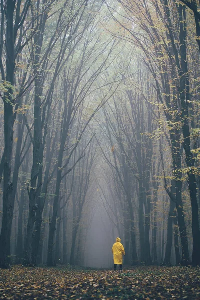 Uomo Perso Una Foresta Spettrale Foresta Nella Nebbia Con Nebbia — Foto Stock