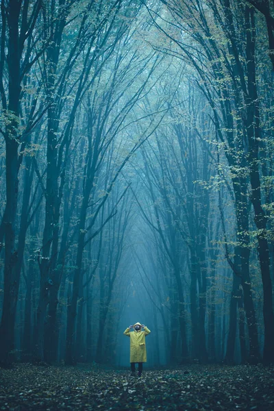 Uomo Perso Una Foresta Spettrale Foresta Nella Nebbia Con Nebbia — Foto Stock