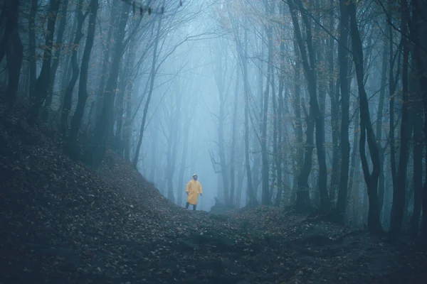 Uomo Perso Una Foresta Nebbiosa Spettrale Tra Alberi Alti — Foto Stock