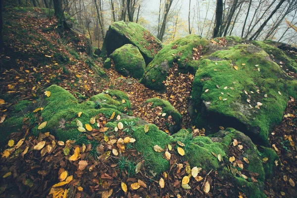 Rochers Couverts Mousse Dans Une Forêt Effrayante Automne Jour Brumeux — Photo