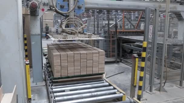 Fabryka Stolarstwa Linia Produkcyjna Deski Parkietowej Nowoczesna Fabryka Przemysłowa Wykładzin — Wideo stockowe