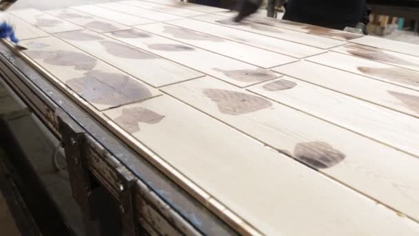 木匠工厂 拼花板生产线 现代层压板工业厂房 — 图库视频影像