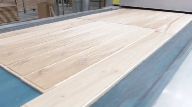 Marangozluk fabrikası. Parke tahtasının üretim hattı. Kaplamalı döşeme için modern sanayi fabrikası.