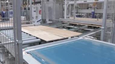 Marangozluk fabrikası. Parke tahtasının üretim hattı. Kaplamalı döşeme için modern sanayi fabrikası.