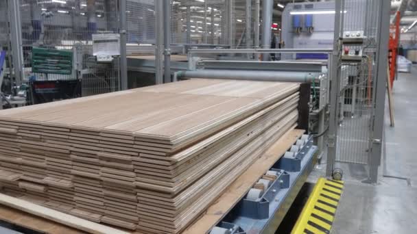 Carpentry Factory Production Line Parquet Board Modern Industrial Factory Laminated — Stock Video