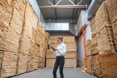 Marangoz fabrikasındaki iş kadını tablet bilgisayar kullanıyor. Marangozluk fabrikası. Parke tahtası üretimi için bir fabrika