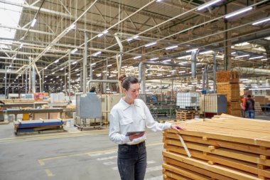 Marangoz fabrikasındaki iş kadını tablet bilgisayar kullanıyor. Marangozluk fabrikası. Parke tahtası üretimi için bir fabrika