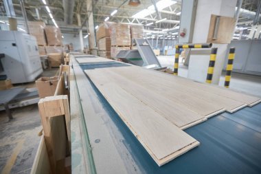 Marangozluk fabrikası. Kaplama üretimi için otomatik ekipman. Modern robot fabrikası içeride. Ahşap işçiliği