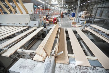 Marangozluk fabrikası. Kaplama üretimi için otomatik ekipman. Modern robot fabrikası içeride. Ahşap işçiliği